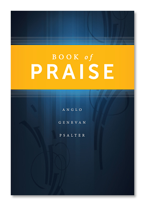 Picture of Book of Praise 2014 Standard Edition - Blue